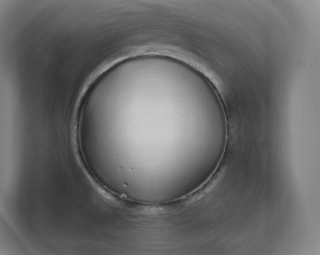 X0000112161525200908211424
