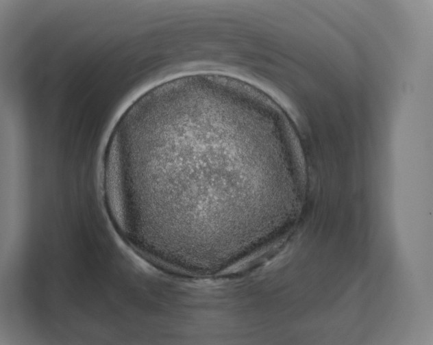 X0000112161527200908211424