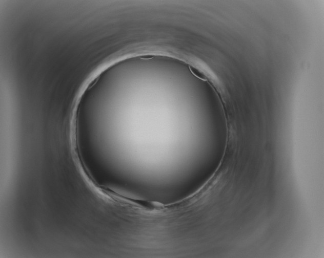 X0000112161528200908211424