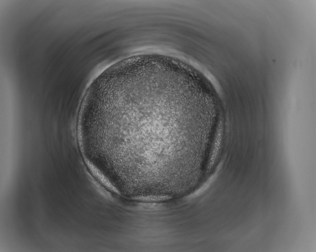 X0000112161529200908211424