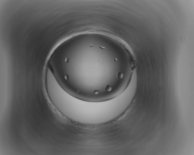 X0000112161530200908211424