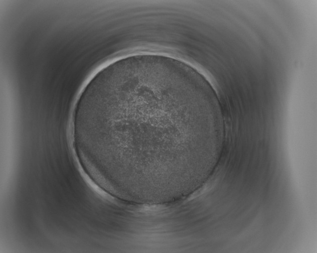 X0000112161531200908211424