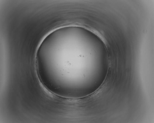 X0000112161532200908211424