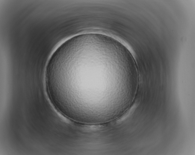 X0000112161533200908211424