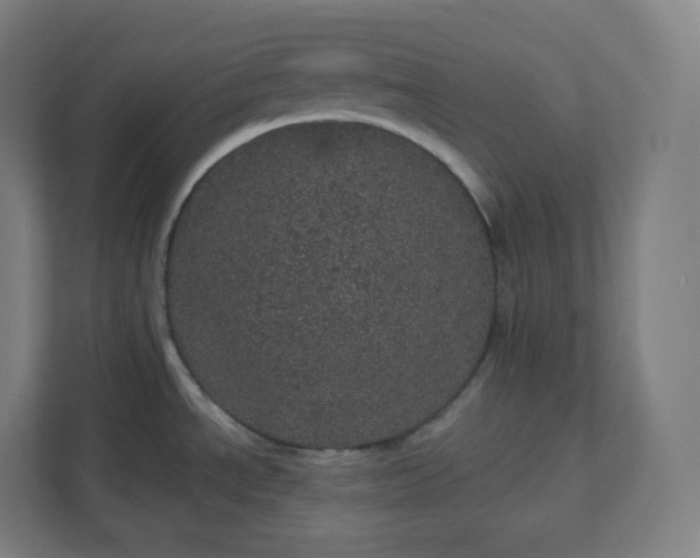 X0000112161534200908211424