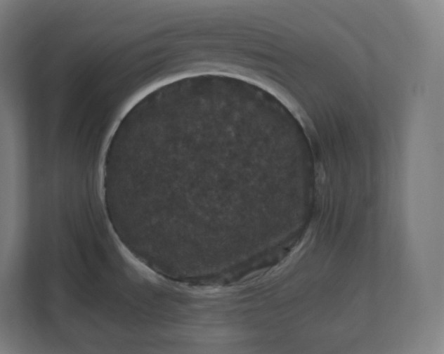 X0000112161535200908211424