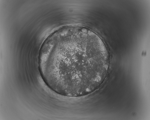 X0000112160002200908281415