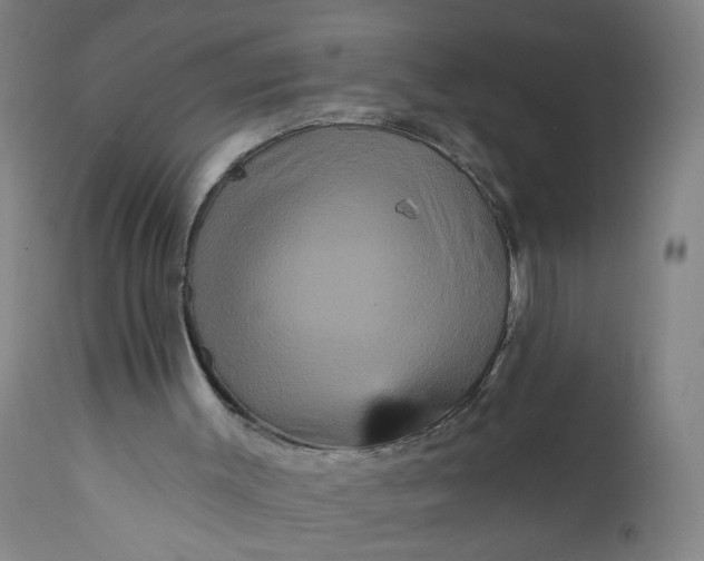 X0000112160003200908281415
