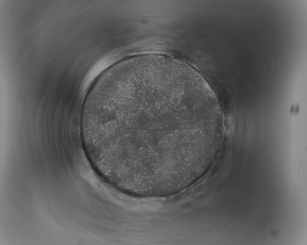 X0000112160004200908281415