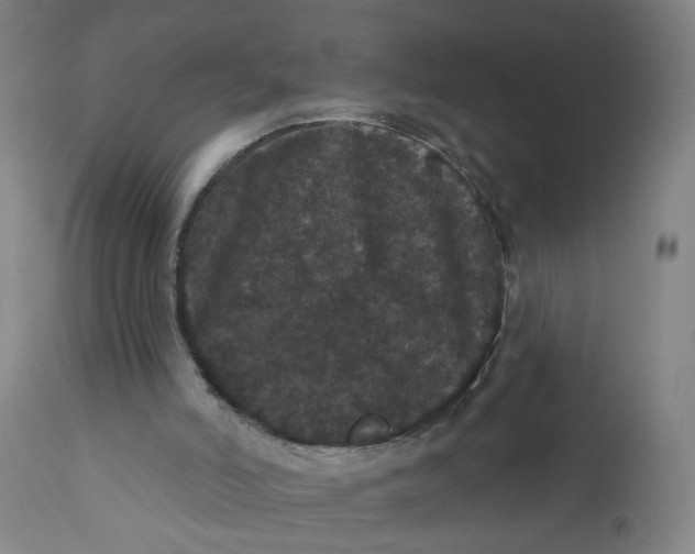 X0000112160006200908281415