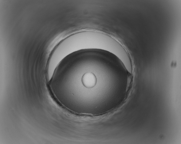 X0000112160007200908281415