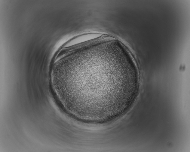 X0000112160008200908281415