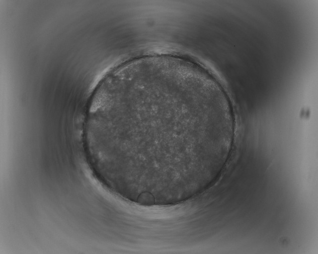 X0000112160010200908281415