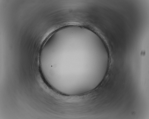 X0000112160011200908281415