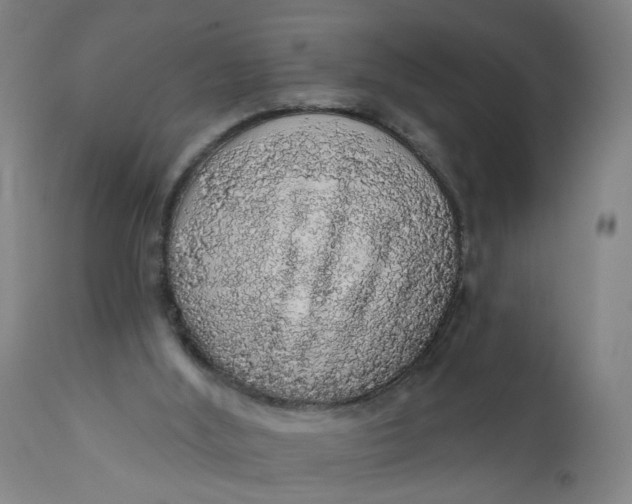X0000112160012200908281415