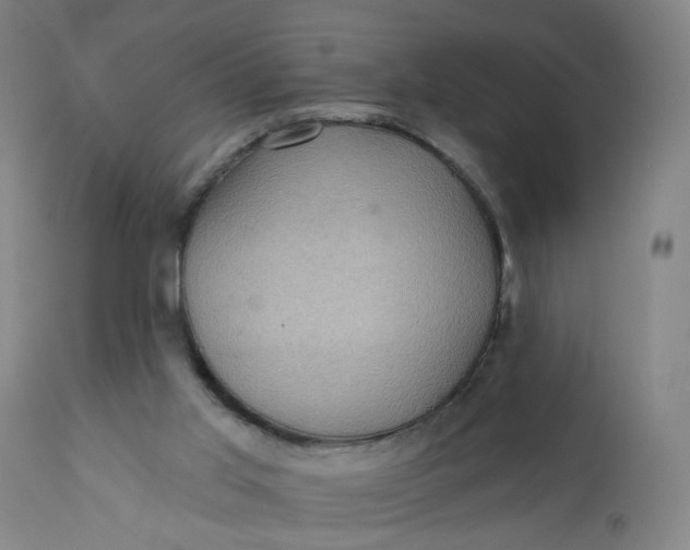 X0000112160013200908281415