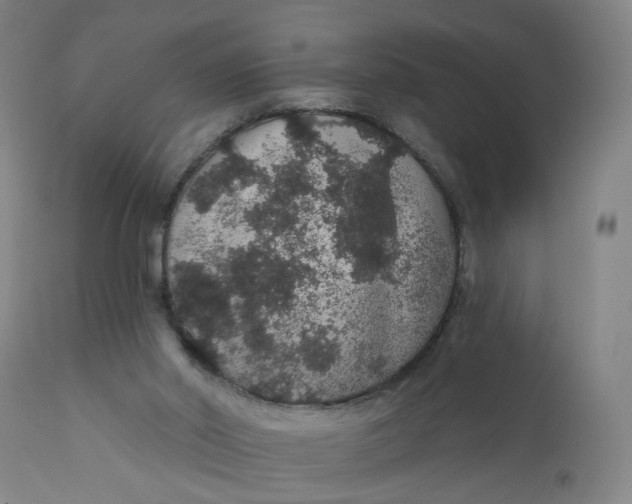 X0000112160014200908281415