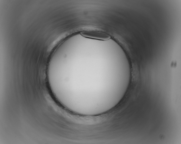 X0000112160015200908281415