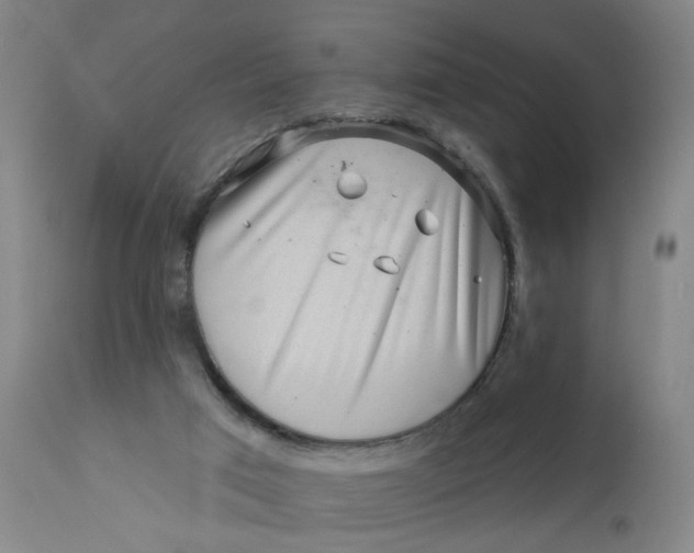 X0000112160017200908281415