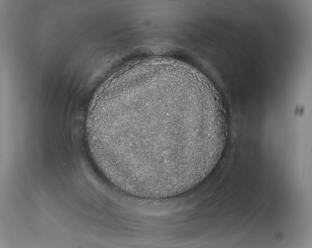 X0000112160018200908281415
