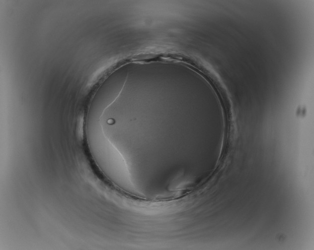 X0000112160019200908281415