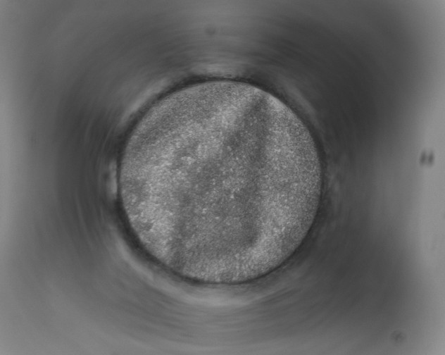 X0000112160020200908281415