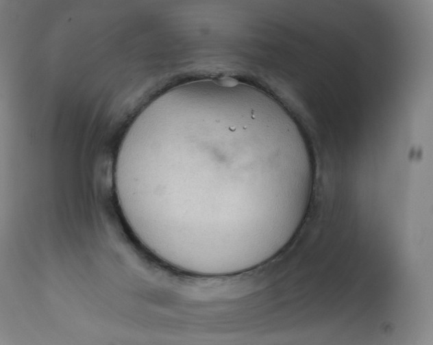 X0000112160021200908281415