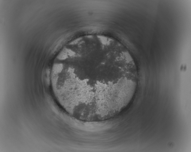X0000112160022200908281415