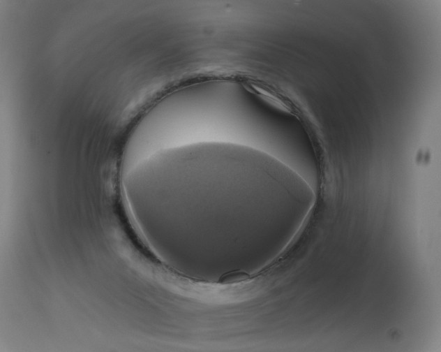 X0000112160023200908281415