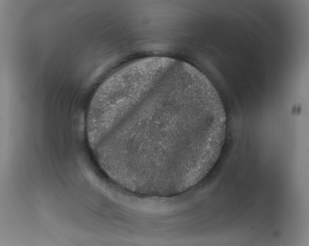 X0000112160024200908281415