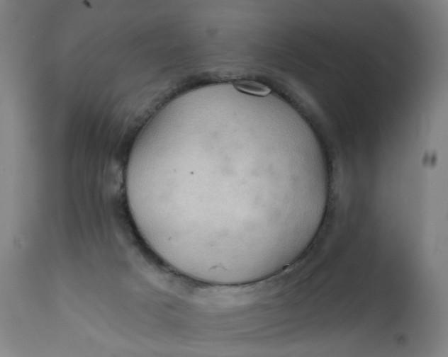 X0000112160025200908281415