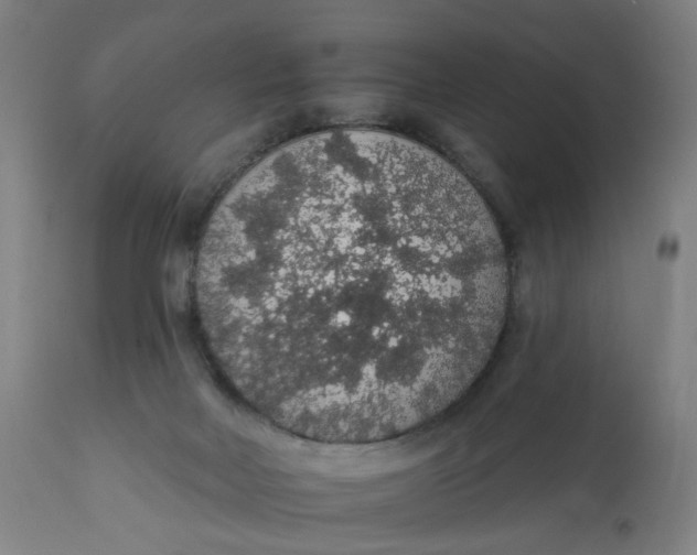 X0000112160026200908281415