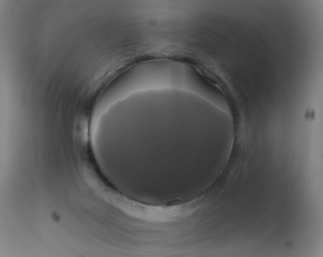 X0000112160027200908281415