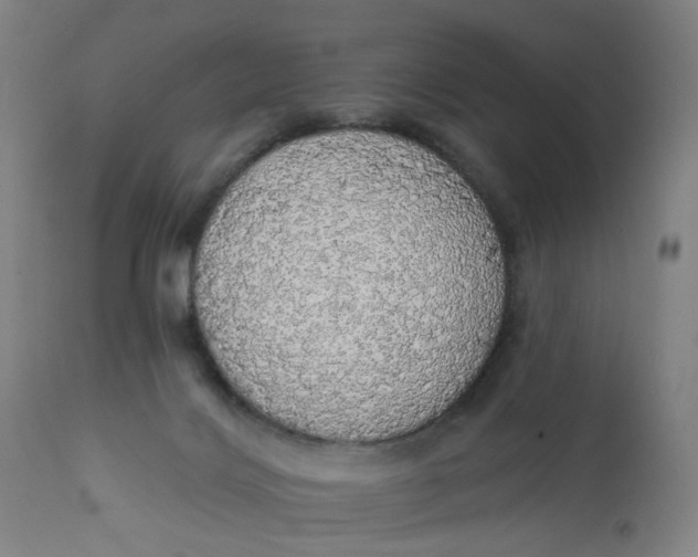 X0000112160028200908281415