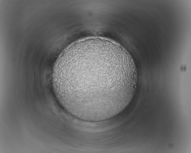 X0000112160030200908281415