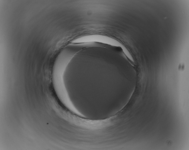 X0000112160031200908281415