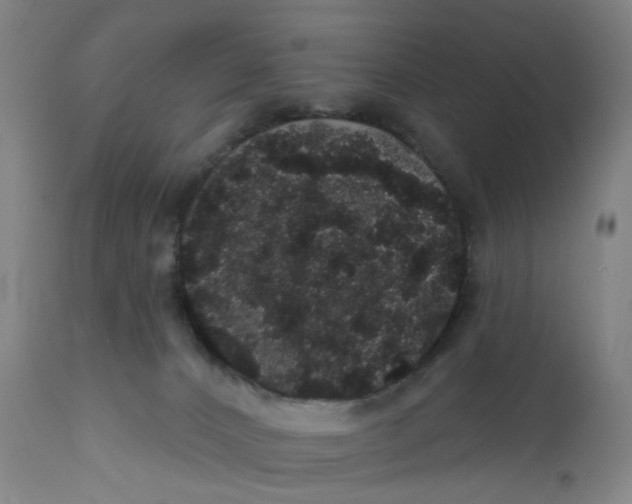 X0000112160032200908281415