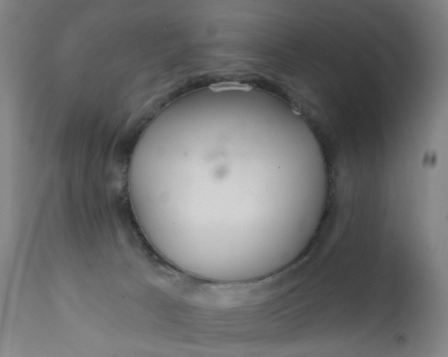 X0000112160033200908281415