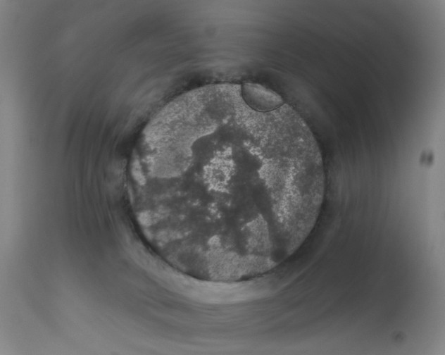 X0000112160034200908281415
