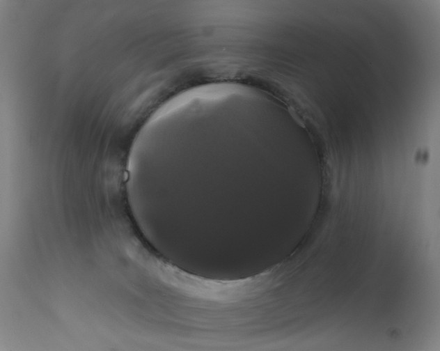 X0000112160035200908281415