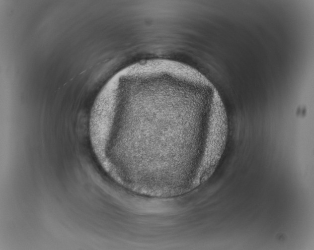 X0000112160036200908281415