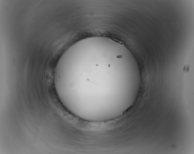 X0000112160037200908281415