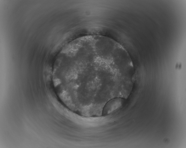 X0000112160038200908281415
