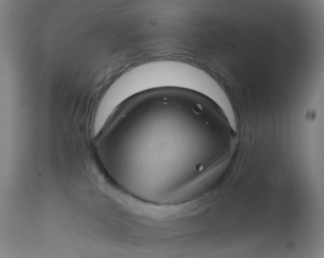 X0000112160039200908281415