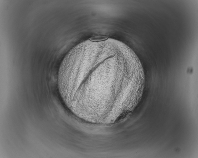 X0000112160040200908281415