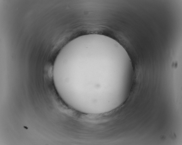 X0000112160041200908281415
