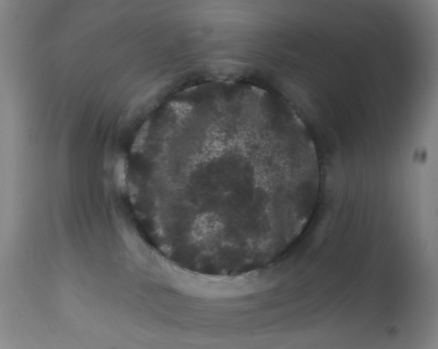 X0000112160042200908281415
