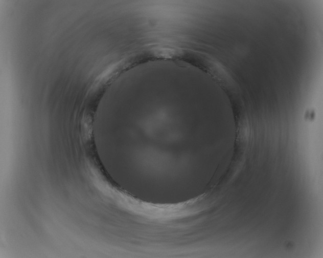 X0000112160043200908281415