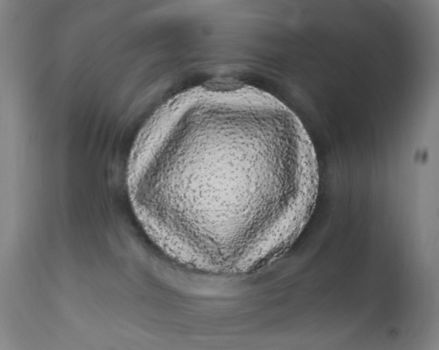 X0000112160044200908281415
