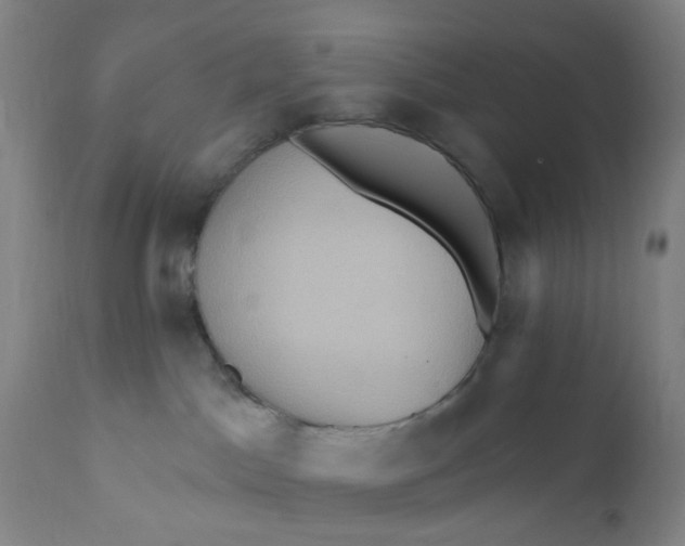 X0000112160045200908281415